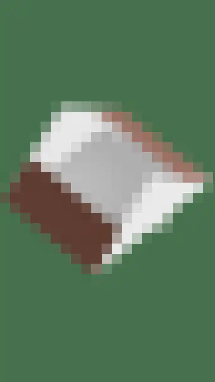 Diepvoorde 1306 Wijchen thumbnail 43