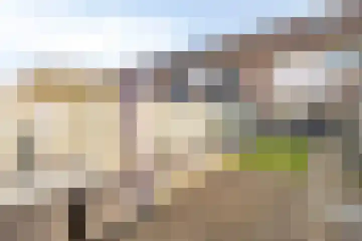 Diepvoorde 1416 Wijchen thumbnail 23