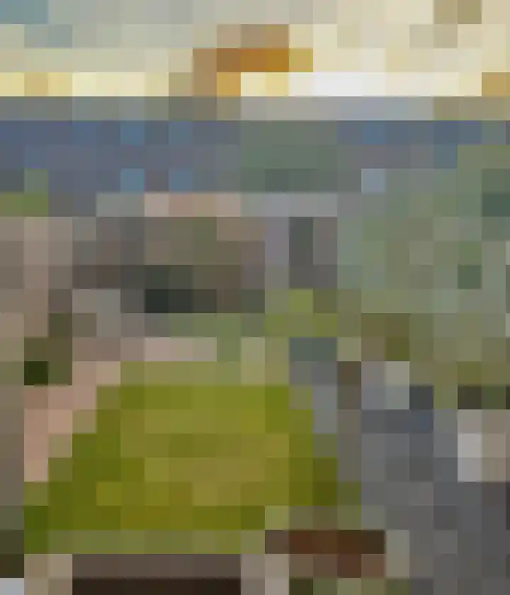 Diepvoorde 1416 Wijchen thumbnail 25