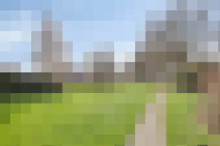 Diepvoorde 1416 Wijchen thumbnail 26