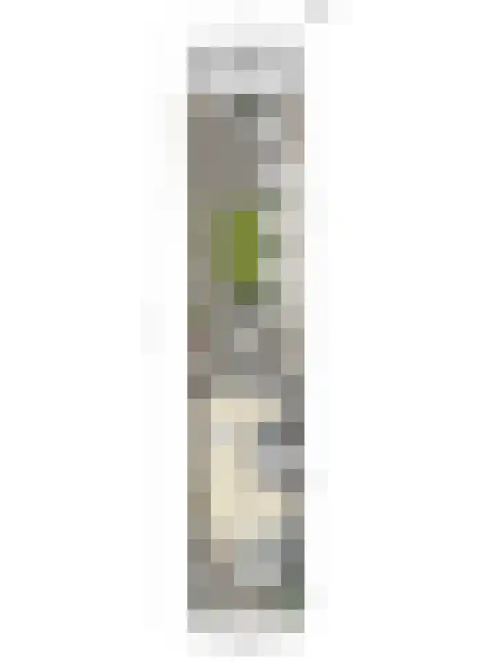 Diepvoorde 1416 Wijchen thumbnail 29