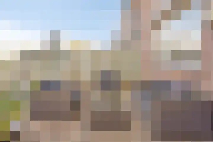 Diepvoorde 1416 Wijchen thumbnail 4