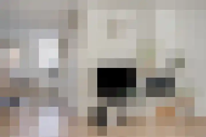 Diepvoorde 1416 Wijchen thumbnail 9