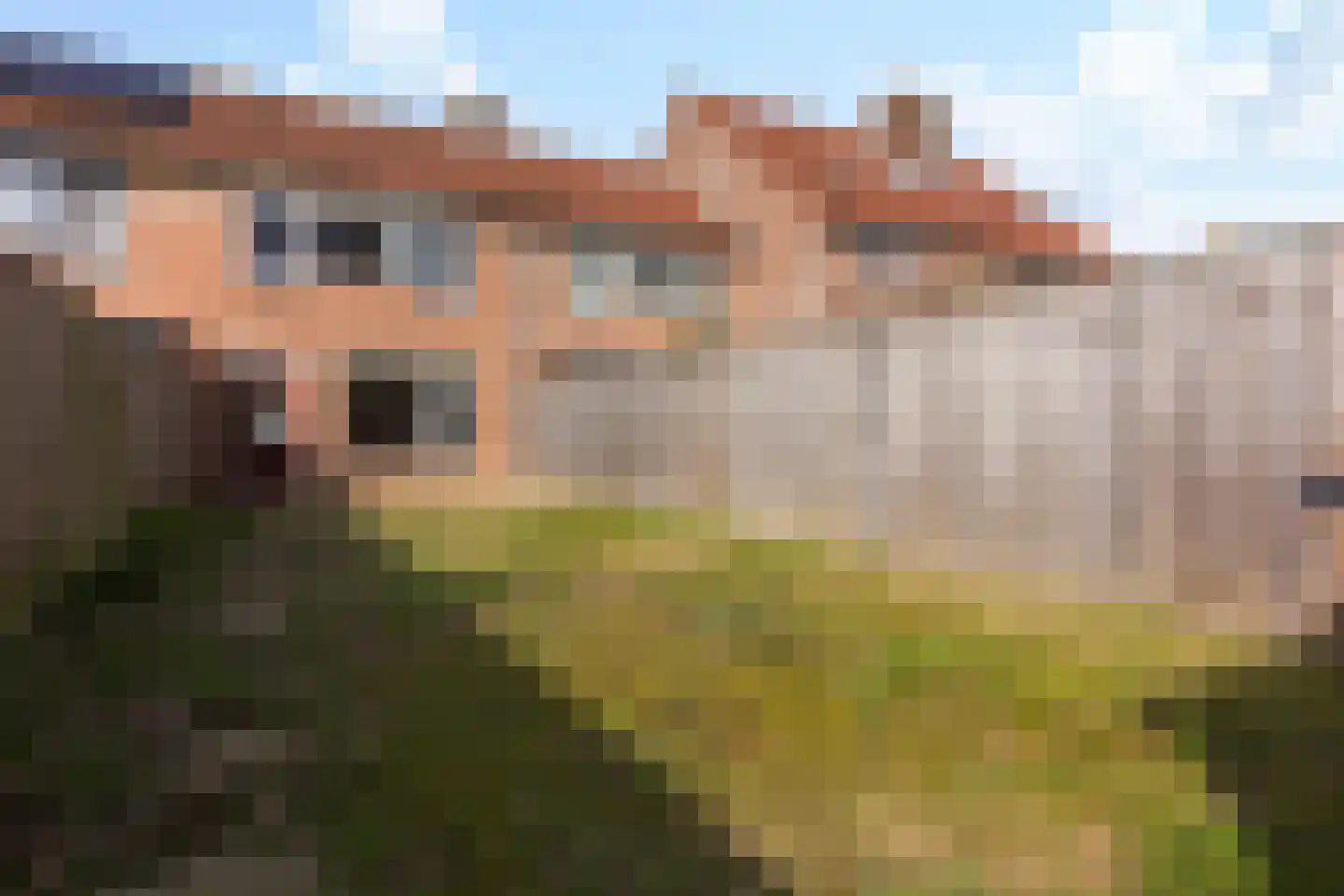 Diepvoorde 1826 Wijchen thumbnail 17