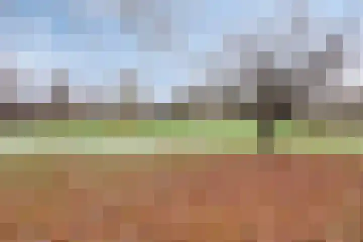 Diepvoorde 2108 Wijchen thumbnail 29