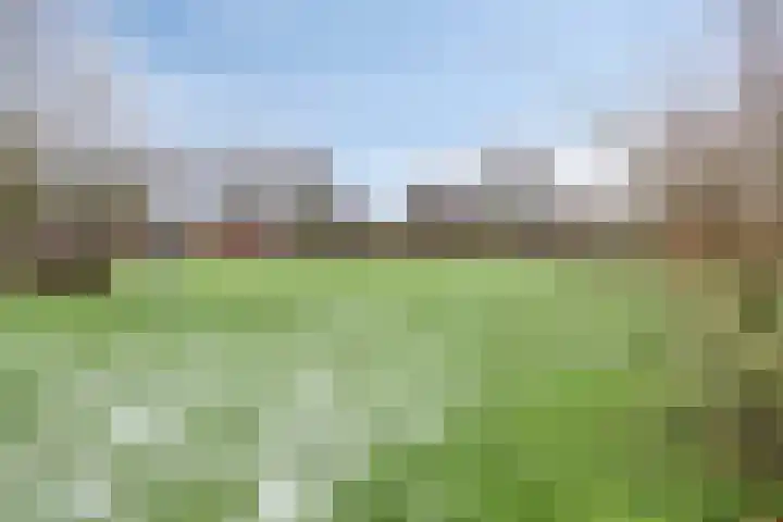 Diepvoorde 2108 Wijchen thumbnail 30