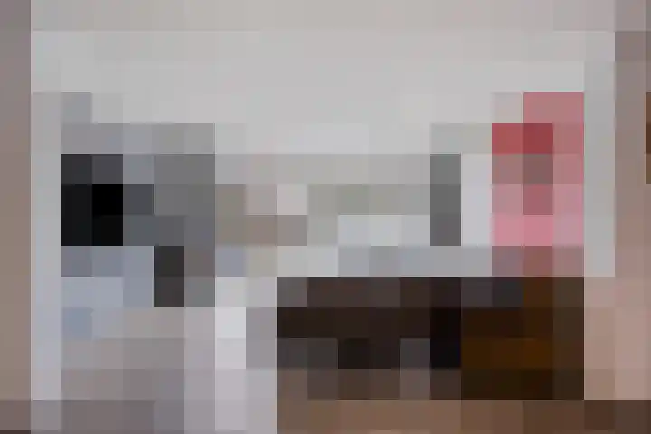 Diepvoorde 2108 Wijchen thumbnail 5