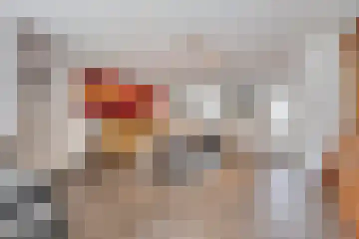 Diepvoorde 2108 Wijchen thumbnail 7