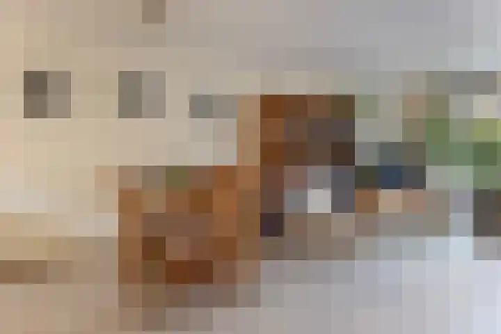 Diepvoorde 2109 Wijchen thumbnail 10