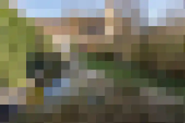 Diepvoorde 2109 Wijchen thumbnail 34