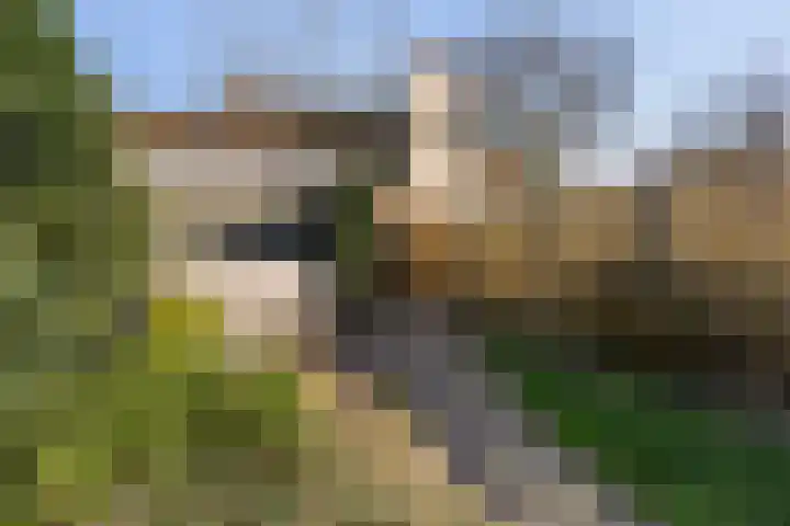 Diepvoorde 2109 Wijchen thumbnail 35