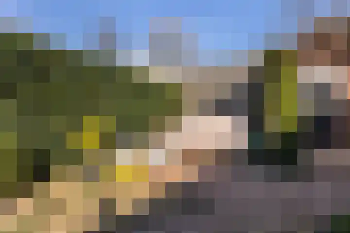 Diepvoorde 2109 Wijchen thumbnail 36