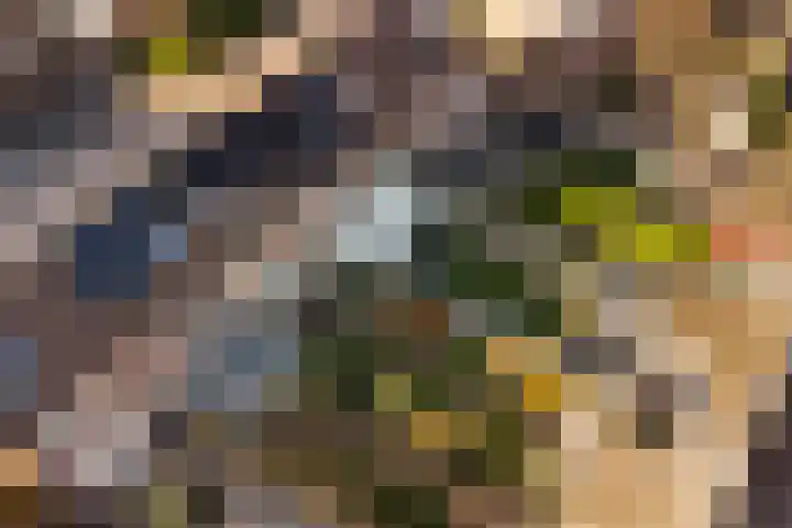 Diepvoorde 2109 Wijchen thumbnail 37