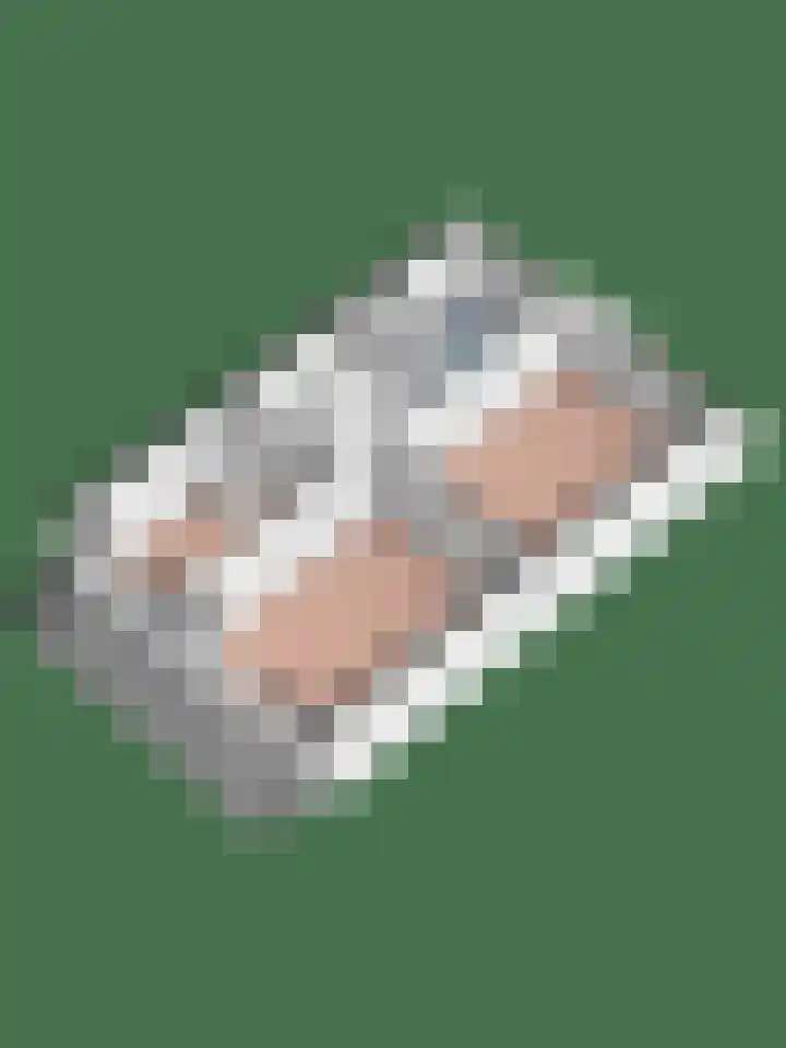Diepvoorde 2109 Wijchen thumbnail 42