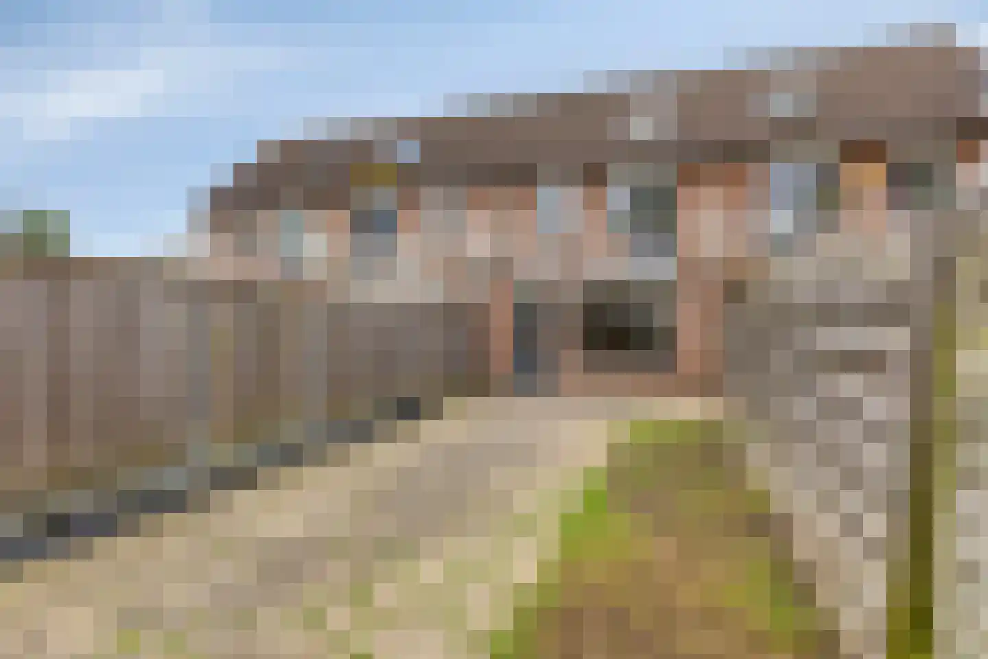 Diepvoorde 2121 Wijchen thumbnail 7