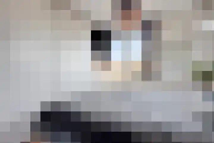 Diepvoorde 2502 Wijchen thumbnail 17
