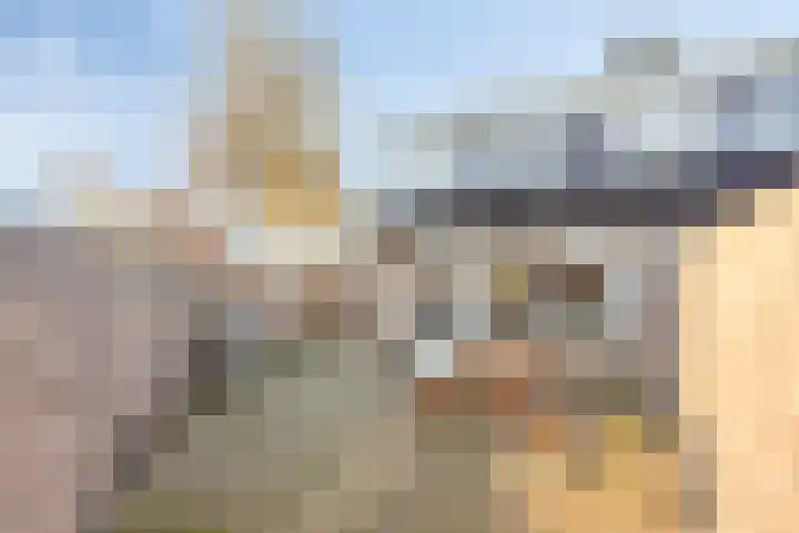 Diepvoorde 2502 Wijchen thumbnail 23