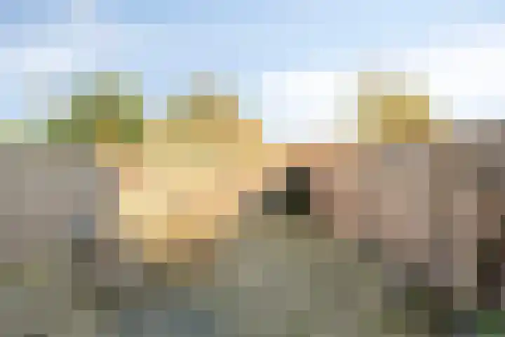 Diepvoorde 2502 Wijchen thumbnail 24