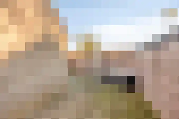 Diepvoorde 2502 Wijchen thumbnail 26