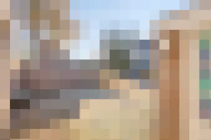 Diepvoorde 2502 Wijchen thumbnail 27