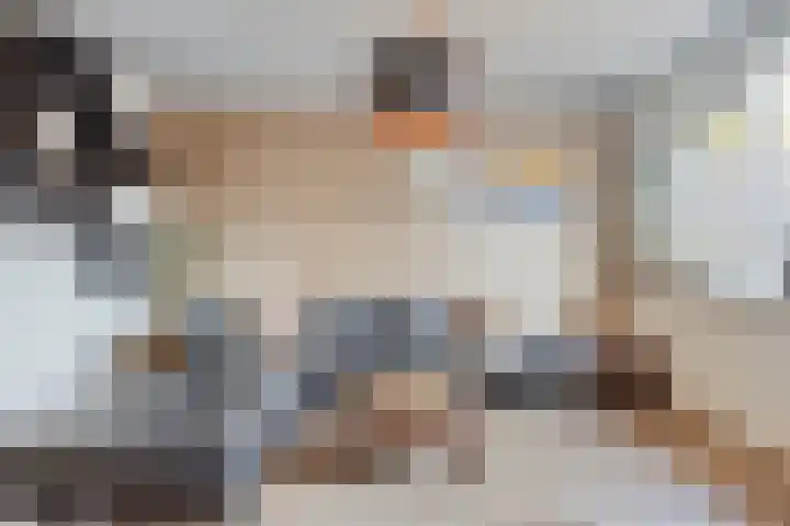 Diepvoorde 2502 Wijchen thumbnail 7