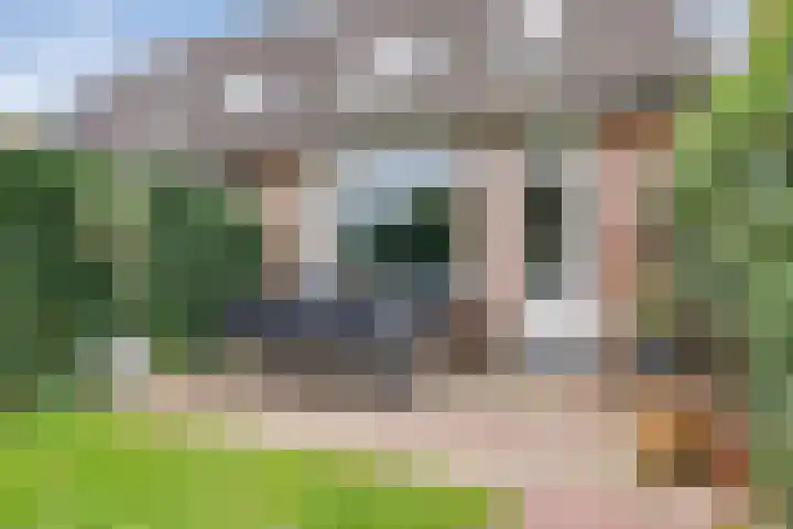 Diepvoorde 2613 Wijchen thumbnail 25