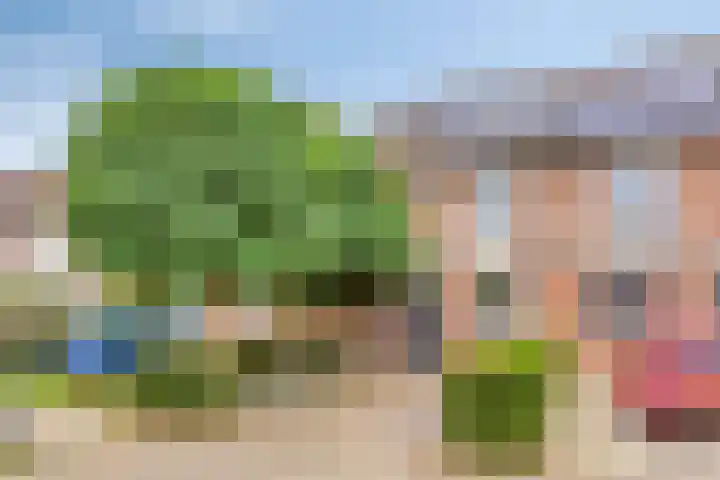 Diepvoorde 2613 Wijchen thumbnail 27