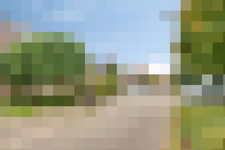 Diepvoorde 2613 Wijchen thumbnail 28