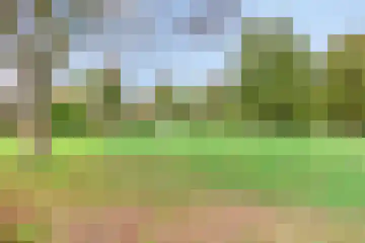 Diepvoorde 2613 Wijchen thumbnail 29