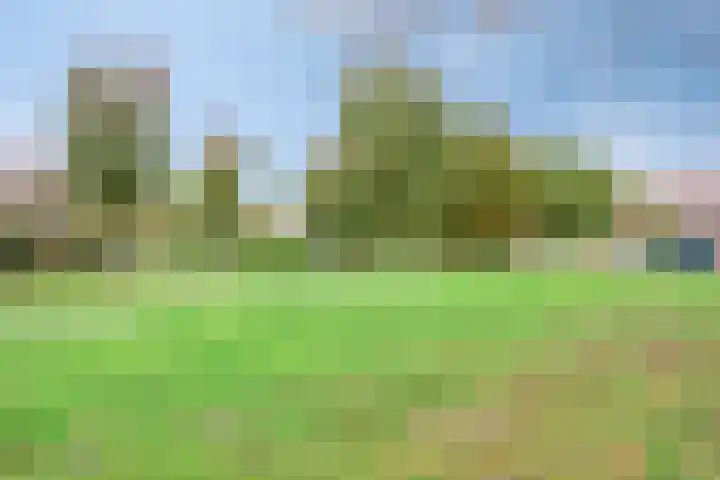 Diepvoorde 2613 Wijchen thumbnail 30