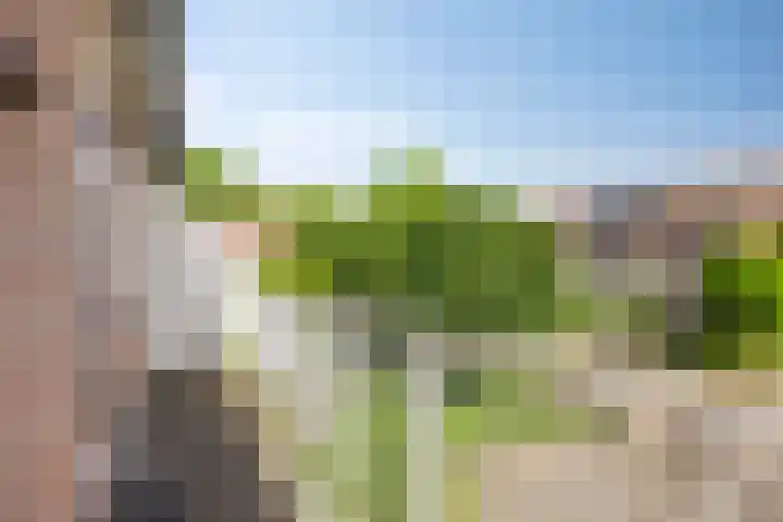 Diepvoorde 2614 Wijchen thumbnail 16