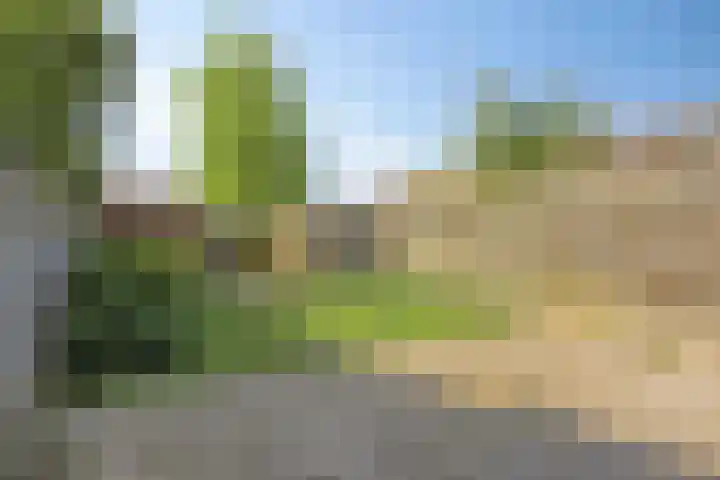 Diepvoorde 2614 Wijchen thumbnail 24