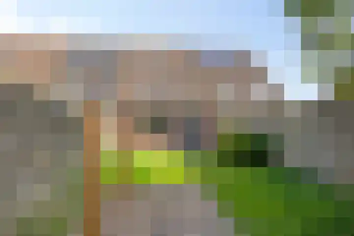 Diepvoorde 2614 Wijchen thumbnail 26