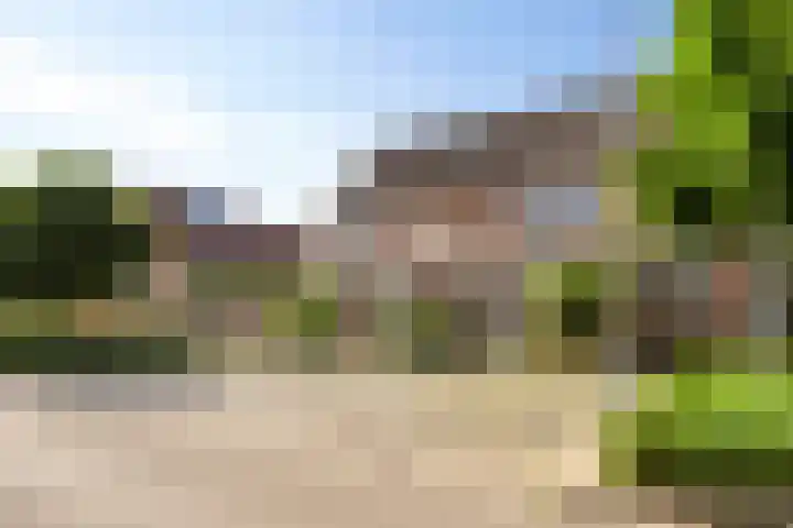 Diepvoorde 2614 Wijchen thumbnail 27