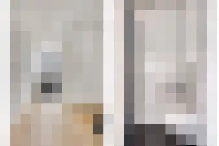 Diepvoorde 2614 Wijchen thumbnail 6