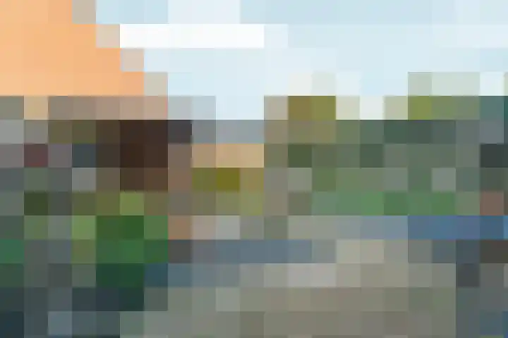 Diepvoorde 2703 Wijchen thumbnail 31