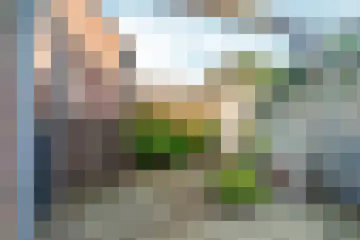 Diepvoorde 2703 Wijchen thumbnail 33