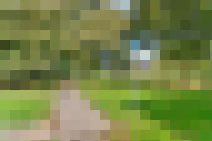 Diepvoorde 2703 Wijchen thumbnail 37