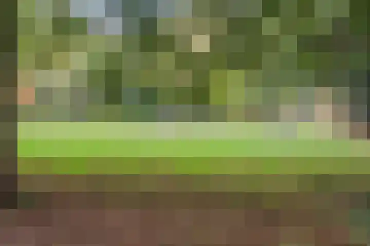 Diepvoorde 2703 Wijchen thumbnail 38