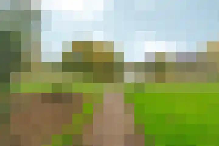 Diepvoorde 2703 Wijchen thumbnail 39