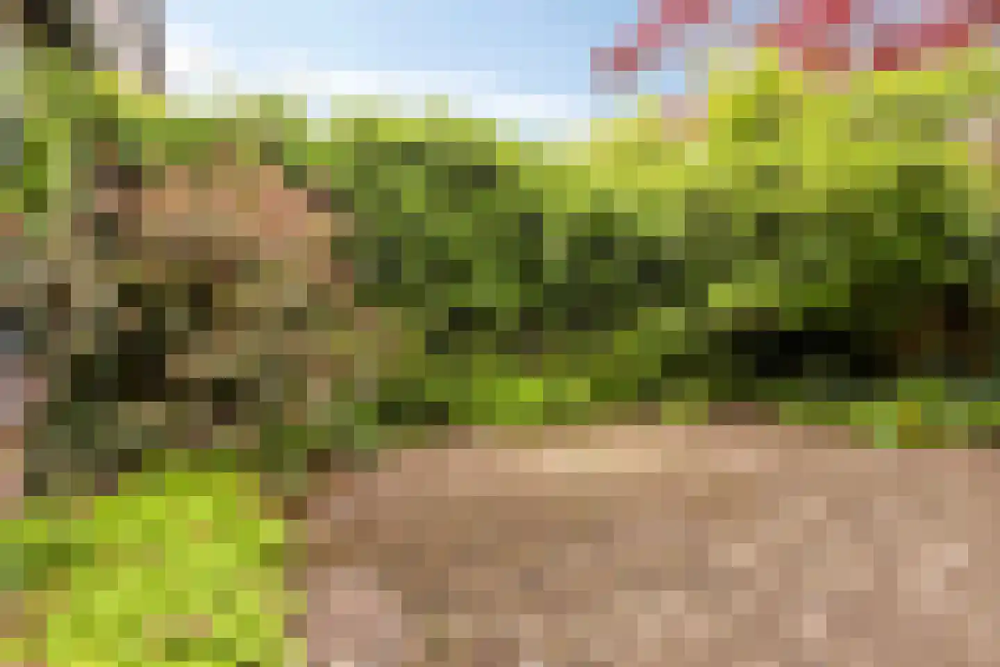 Diepvoorde 2711 Wijchen thumbnail 30