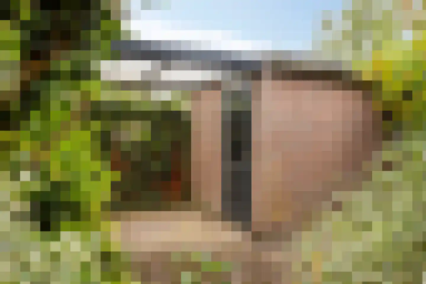 Diepvoorde 2711 Wijchen thumbnail 33
