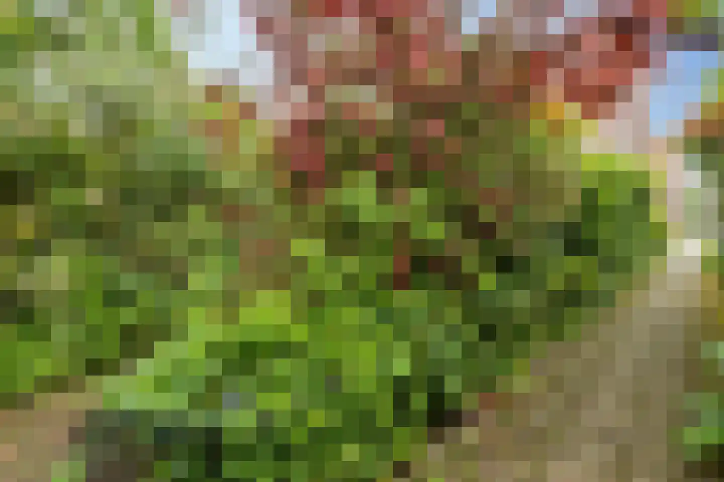 Diepvoorde 2711 Wijchen thumbnail 36