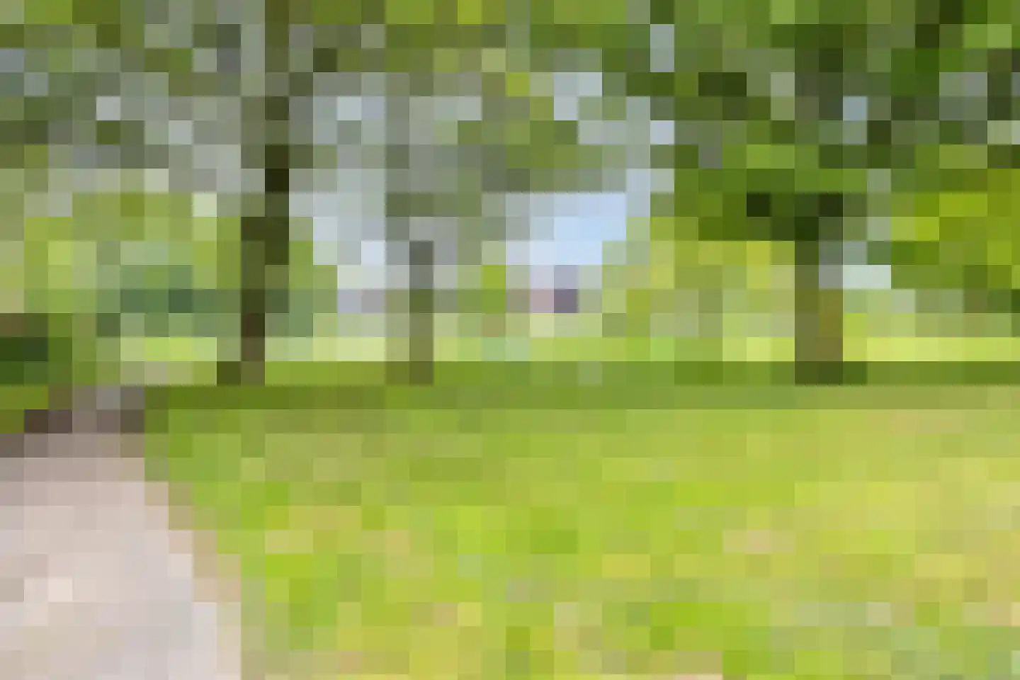 Diepvoorde 2711 Wijchen thumbnail 37