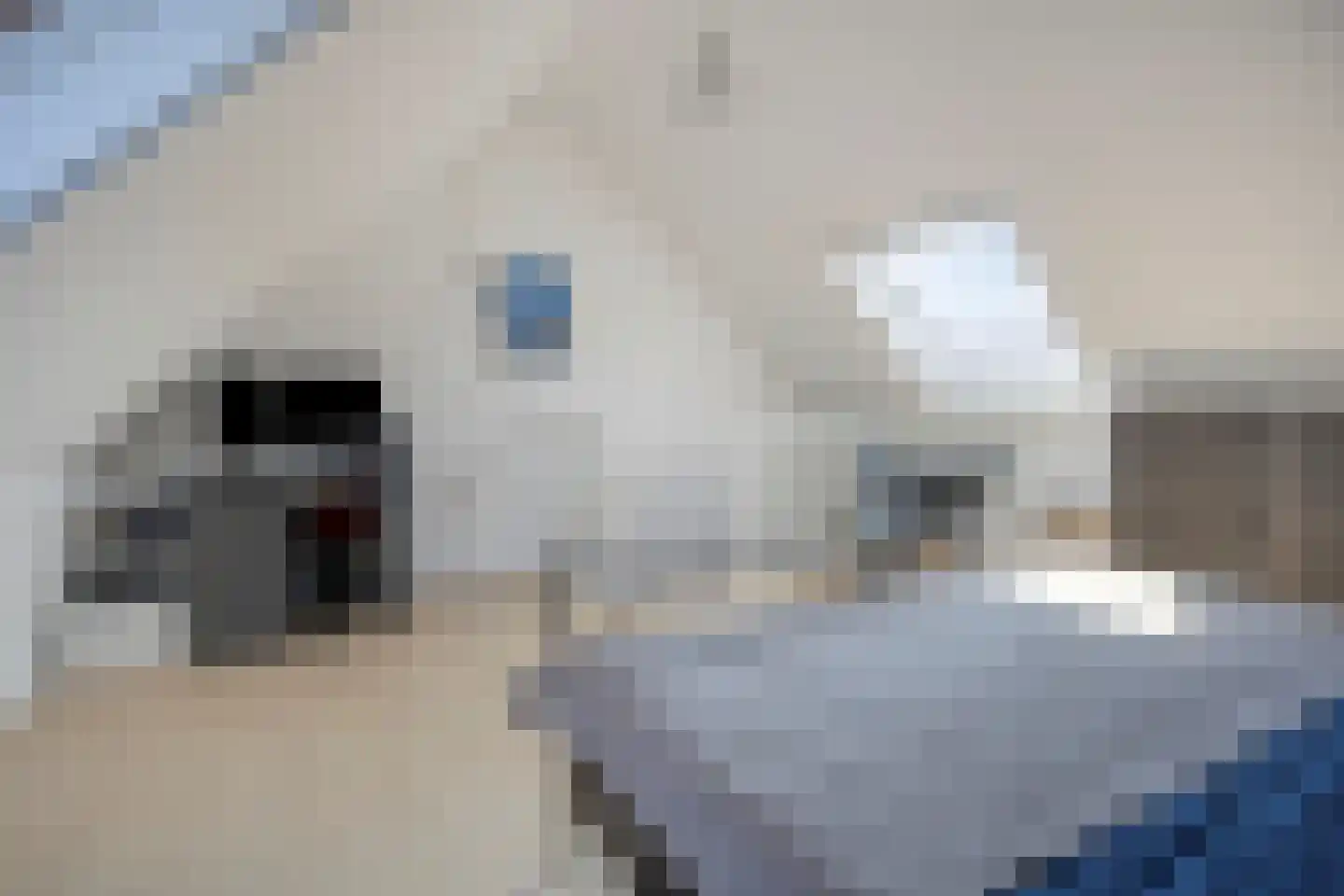 Diepvoorde 2712 Wijchen thumbnail 25