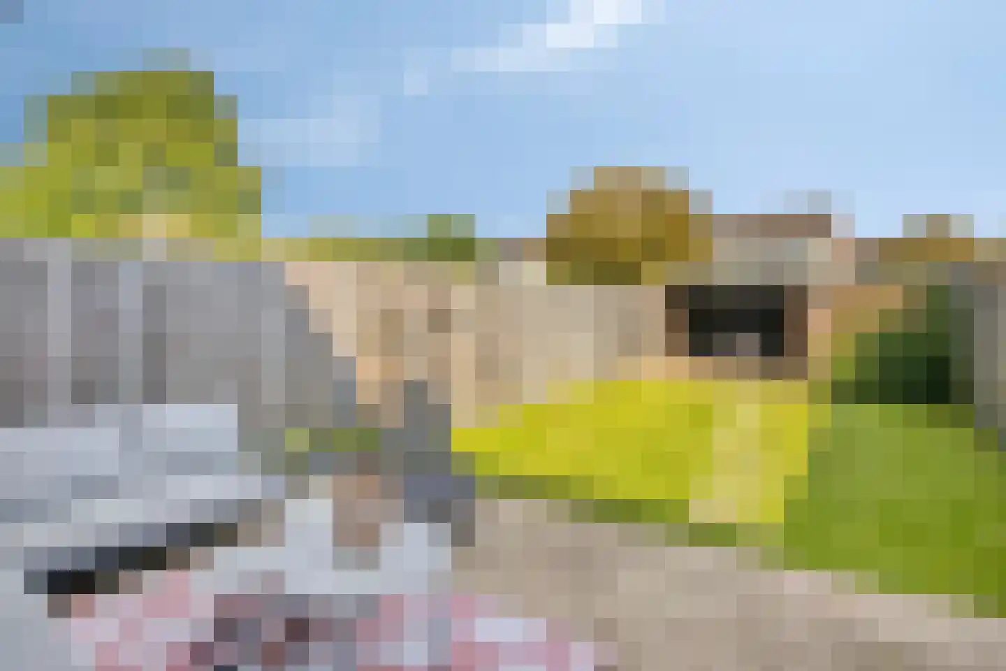 Diepvoorde 2712 Wijchen thumbnail 26