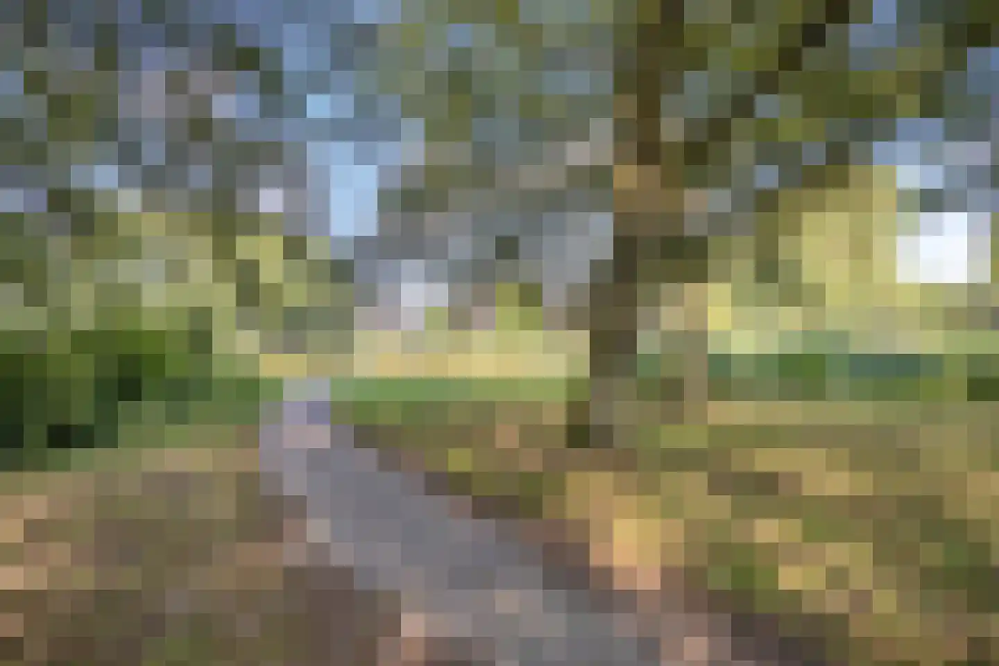 Diepvoorde 2712 Wijchen thumbnail 32