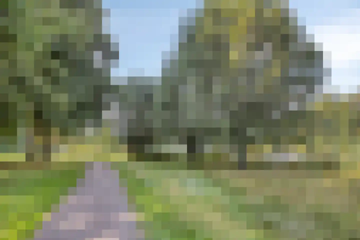 Diepvoorde 2712 Wijchen thumbnail 33