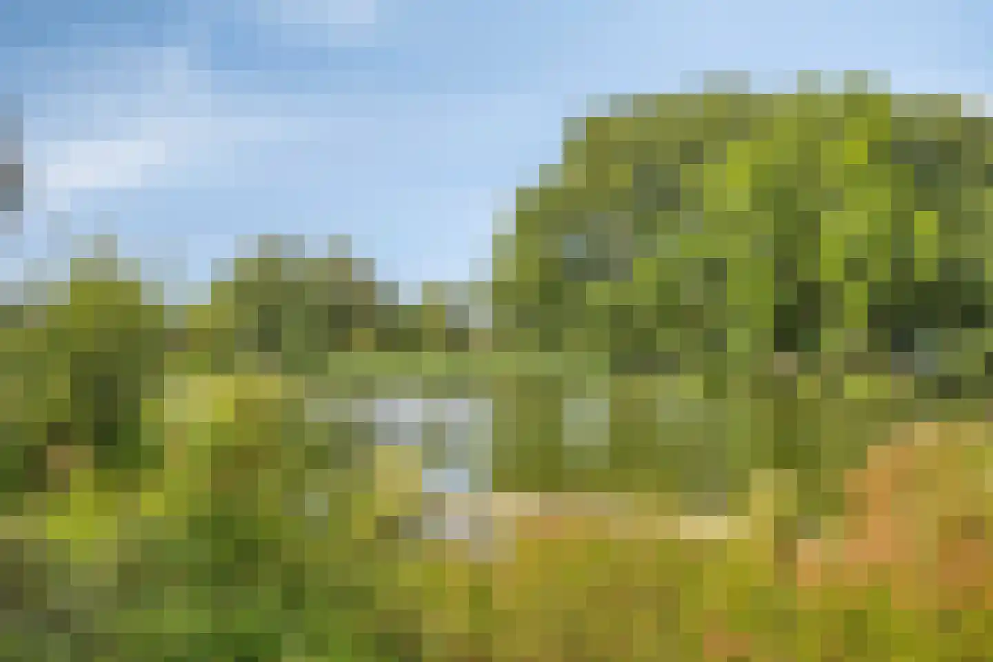 Diepvoorde 2712 Wijchen thumbnail 34