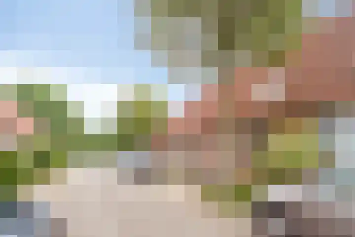 Diepvoorde 2718 Wijchen thumbnail 10